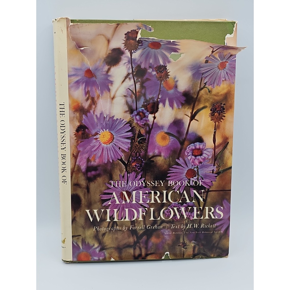 The Odyssey Book of American Wildflowers HC Dust Jacket Farrell Grehan H.W. Rick